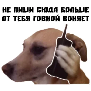 😠 emoji (@StickersHyickers) Псина Сутулая Telegram sticker 6 of 17