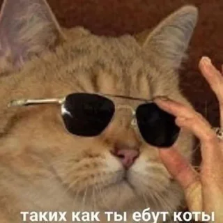 😎 emoji Стики 0960 из @Anonymnyi_chat_bot Telegram sticker 18 of 100