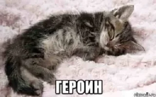 🤍 emoji ### @shlrona Telegram sticker 12 of 85
