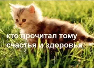 💙 emoji незаменимый стикерпак 2.0 — @stckrRobot Telegram sticker 13 of 120