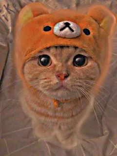 Sticker from Котя