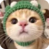👀 emoji @just_a_humble_cat Kitty Terraverse Telegram sticker 2 of 200
