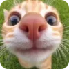 👀 emoji @just_a_humble_cat Kitty Terraverse Telegram sticker 3 of 200