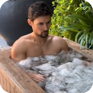 🫥 emoji 🎁 Кактусовые и Брадки 🎁 Telegram sticker 17 of 108