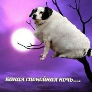 Sticker from православные вперёд май дик из биг