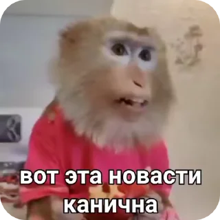 Sticker from Хуйня с хуйни