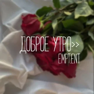 Sticker from стикеры от empt.entertainment