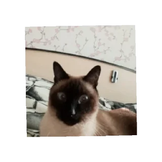 😳 emoji марсик Telegram sticker 7 of 9