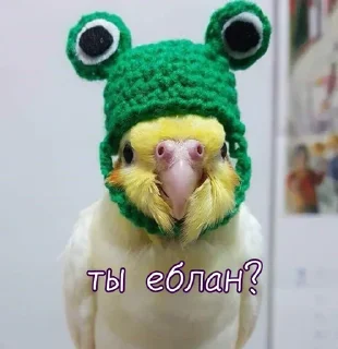 😡 emoji Больше стикеров 👉🏻 @stickertg4 Telegram sticker 4 of 61