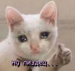 😰 emoji Больше стикеров 👉🏻 @stickertg4 Telegram sticker 15 of 61