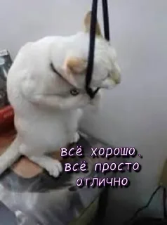 😥 emoji Больше стикеров 👉🏻 @stickertg4 Telegram sticker 19 of 61
