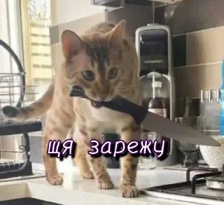 😤 emoji Больше стикеров 👉🏻 @stickertg4 Telegram sticker 8 of 61