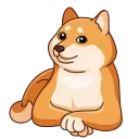 🙄 emoji Shiba Inu Telegram sticker 8 of 23