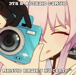 📷 emoji котяра сникерс Telegram sticker 18 of 33