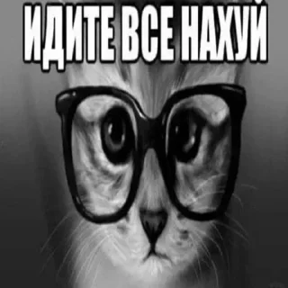 Sticker from сук