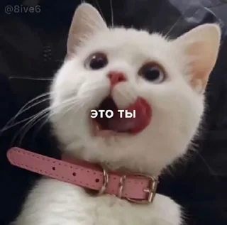 💘 emoji Video Favorite stickers Telegram sticker 12 of 12