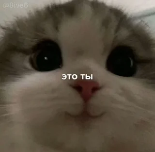 💘 emoji Video Favorite stickers Telegram sticker 10 of 12