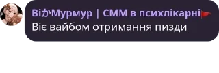 👩‍🦲 emoji Мелітопольська база полку П.Е. pack by @QuotLyBot Telegram sticker 7 of 120