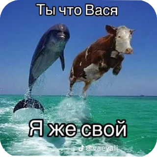 Sticker from Тотальная поху