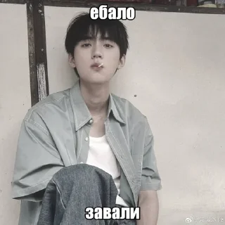 🤫 emoji Чжоу и Жань by @riiiminhoriginal Telegram sticker 15 of 42