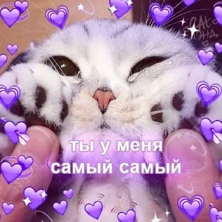 ❤️ emoji lipsi KoT Telegram sticker 13 of 120