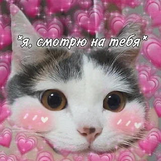 ❤️ emoji lipsi KoT Telegram sticker 24 of 120