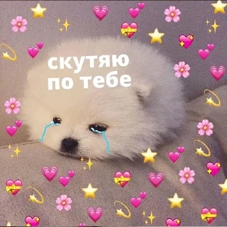 ❤️ emoji lipsi KoT Telegram sticker 7 of 120