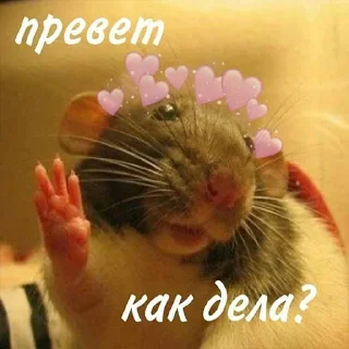 ❤️ emoji lipsi KoT Telegram sticker 19 of 120