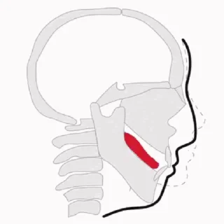😱 emoji Пак нитки ➡️ @Ctikerubot Telegram sticker 22 of 76