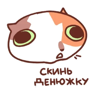 💵 emoji CatMotions @anime4_arts Telegram sticker 13 of 120
