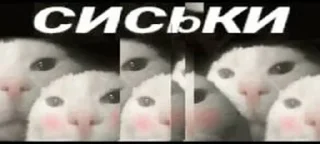 ❤️ emoji В семье не без гандона Telegram sticker 10 of 71