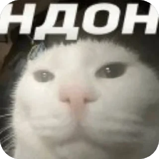 ❤ emoji В семье не без гандона Telegram sticker 3 of 71