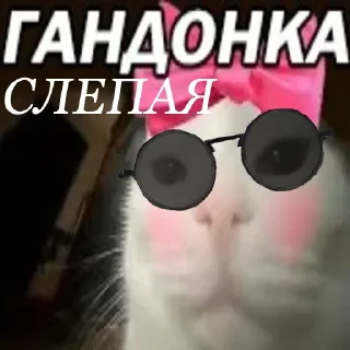 ❤️ emoji В семье не без гандона Telegram sticker 21 of 71