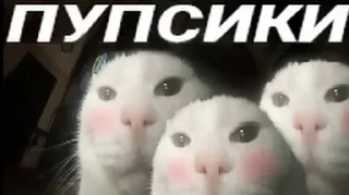 ❤️ emoji В семье не без гандона Telegram sticker 2 of 71