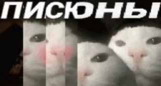 ❤️ emoji В семье не без гандона Telegram sticker 9 of 71