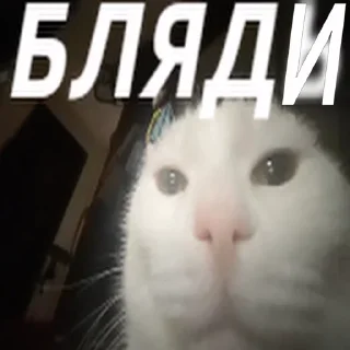 ❤️ emoji В семье не без гандона Telegram sticker 16 of 71