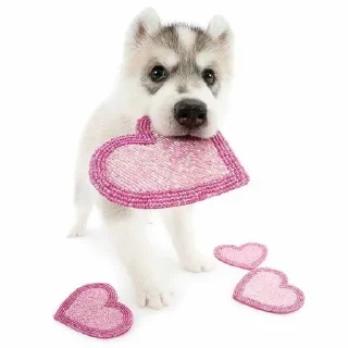Sticker from собакоты ₍⸍⸌̣ʷ̣̫⸍̣⸌₎