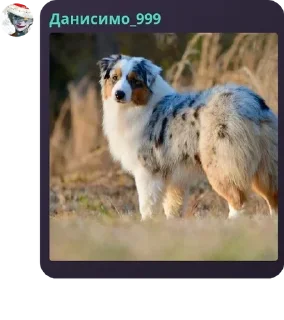 🧑‍🦽 emoji Группа вафель и любви pack by @QuotLyBot Telegram sticker 10 of 120