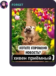 Sticker from сричебляди pack by @QuotLyBot