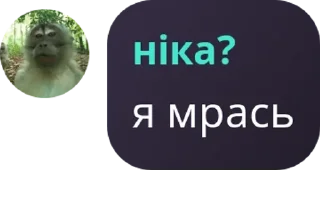 🐪 emoji сричебляди pack by @QuotLyBot Telegram sticker 1 of 120