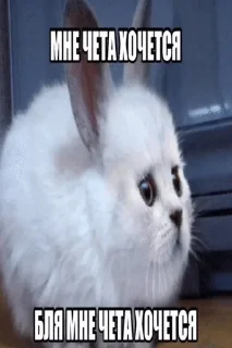 🌟 emoji Ну бля че то типа от лотенчика Telegram sticker 4 of 108