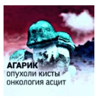 🍄 emoji Килькины стики Telegram sticker 24 of 24