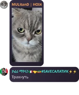 🦸‍♂️ emoji Альцгеймер 6.1 @Elktroprvd @TgEmodziBot Telegram sticker 3 of 101