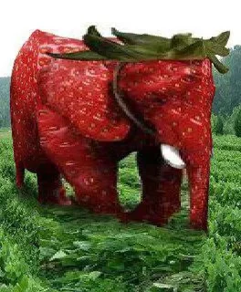 🍓 emoji Создано в @sozdsti_bot Telegram sticker 4 of 15