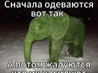 🪴 emoji Создано в @sozdsti_bot Telegram sticker 2 of 15