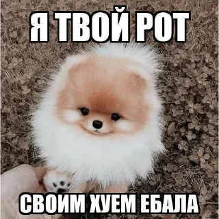 Sticker from донбасс скорбит