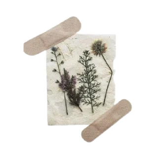 🌿 emoji Оформление стикеров ♡ Telegram sticker 13 of 120