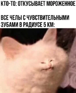 😏 emoji Стикеры @stickrubot @textmeru_bot Telegram sticker 19 of 19