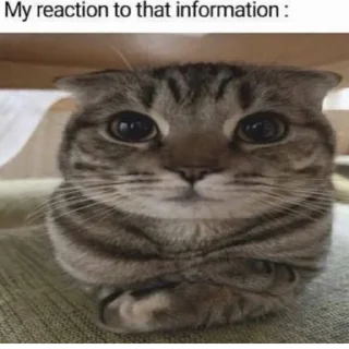 🪰 emoji Стикер пак Lion'а минералки(не красть😡) Telegram sticker 17 of 66