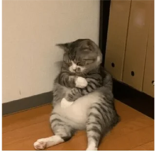 Sticker from Tired cat
